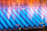 Trewey gas fired boilers