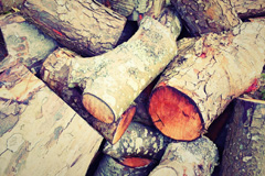 Trewey wood burning boiler costs